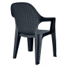 Poltrona Lisa rattan