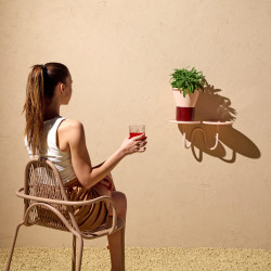 Mimosa – Vasi