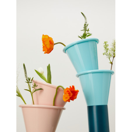 Mimosa – Vasi