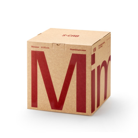 Mimosa – Vasi