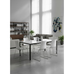 ZEBRA ANTISHOCK a slitta